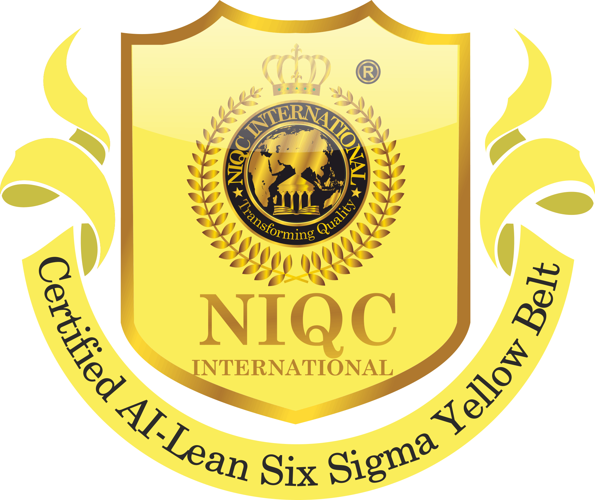 niqc international, bangalore
