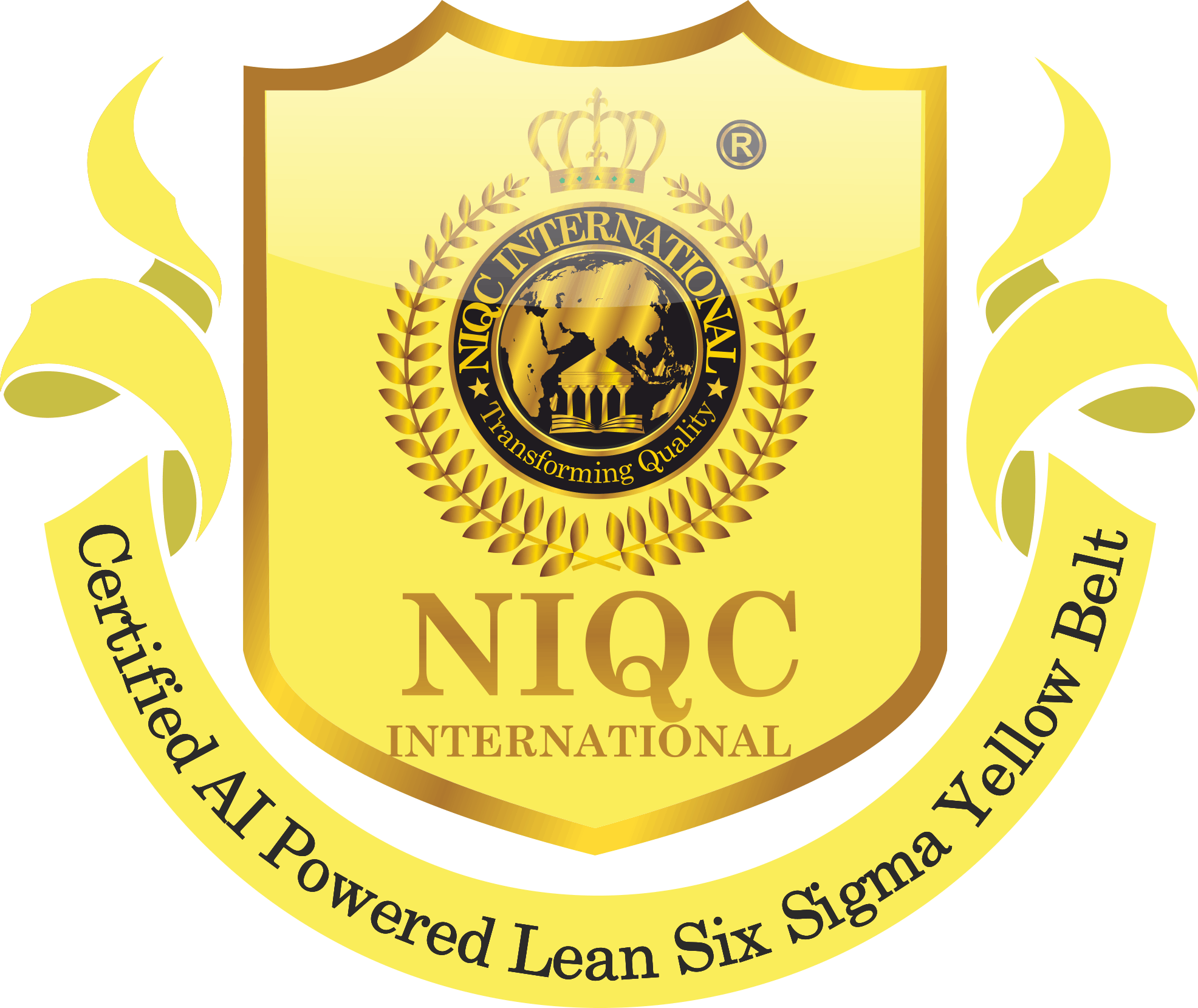 niqc international, bangalore